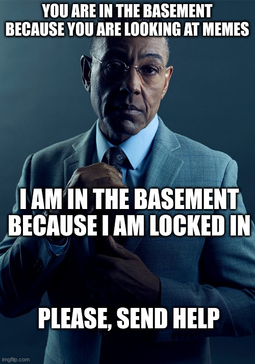 PLEASE, I NEED HELP | YOU ARE IN THE BASEMENT BECAUSE YOU ARE LOOKING AT MEMES; I AM IN THE BASEMENT BECAUSE I AM LOCKED IN; PLEASE, SEND HELP | image tagged in gus fring we are not the same | made w/ Imgflip meme maker