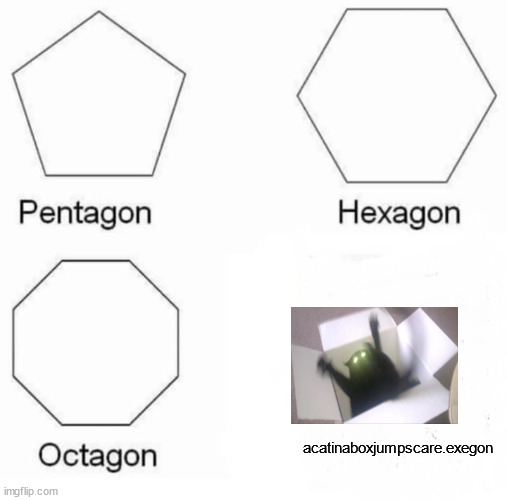 Pentagon Hexagon Octagon Meme | acatinaboxjumpscare.exegon | image tagged in memes,pentagon hexagon octagon,cats | made w/ Imgflip meme maker