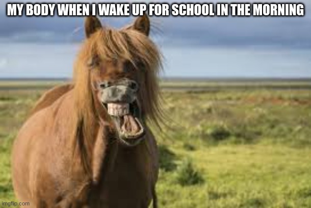 well this happens to the best of us | MY BODY WHEN I WAKE UP FOR SCHOOL IN THE MORNING | image tagged in school meme,morning | made w/ Imgflip meme maker