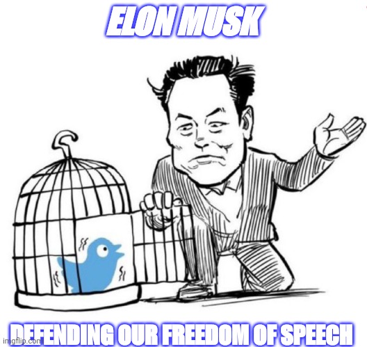 Defending our freedom of speech | ELON MUSK; DEFENDING OUR FREEDOM OF SPEECH | image tagged in elon musk | made w/ Imgflip meme maker