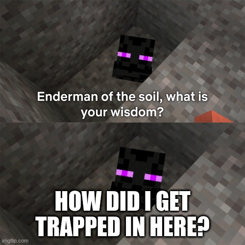 Why? | HOW DID I GET TRAPPED IN HERE? | image tagged in enderman of the soil | made w/ Imgflip meme maker