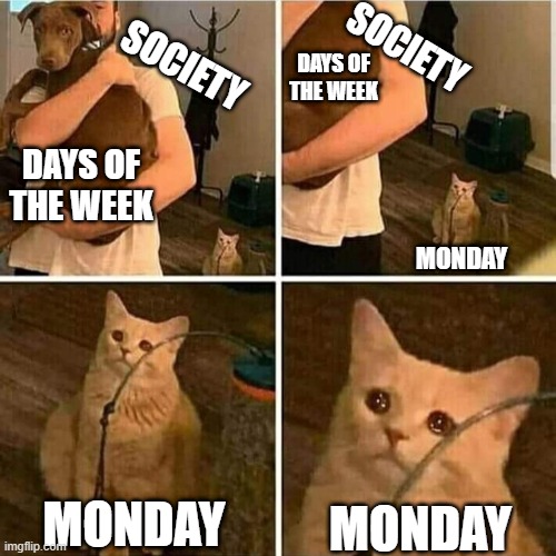 I honestly don't know what to call this. | SOCIETY; SOCIETY; DAYS OF THE WEEK; DAYS OF THE WEEK; MONDAY; MONDAY; MONDAY | image tagged in sad cat holding dog | made w/ Imgflip meme maker