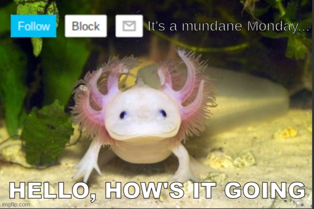 AxolotlDudes announcement template | It's a mundane Monday... HELLO, HOW'S IT GOING | image tagged in axolotldudes announcement template | made w/ Imgflip meme maker