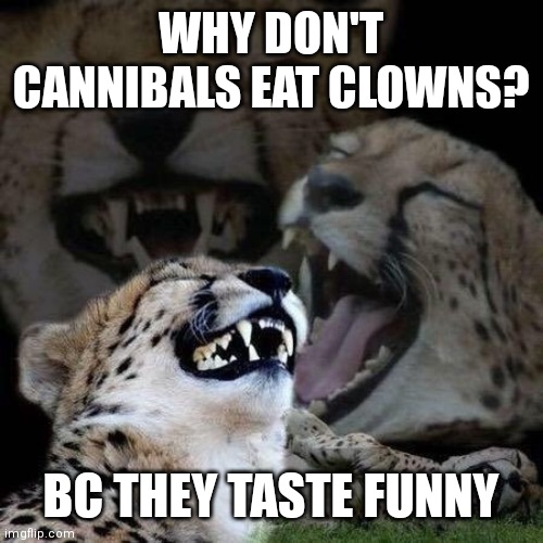 Laughing | WHY DON'T CANNIBALS EAT CLOWNS? BC THEY TASTE FUNNY | image tagged in laughing | made w/ Imgflip meme maker
