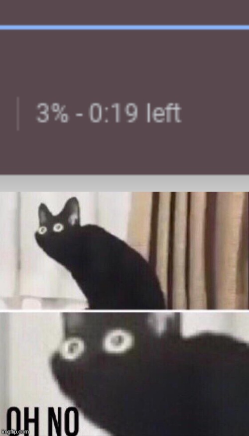 this is live | image tagged in oh no cat | made w/ Imgflip meme maker