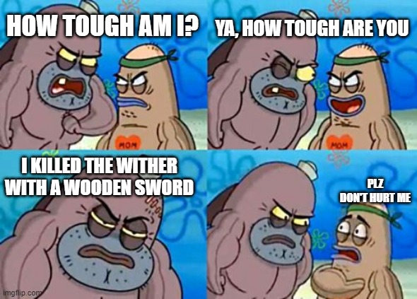 Wither 2 |  YA, HOW TOUGH ARE YOU; HOW TOUGH AM I? I KILLED THE WITHER WITH A WOODEN SWORD; PLZ DON'T HURT ME | image tagged in memes,how tough are you,minecraft | made w/ Imgflip meme maker