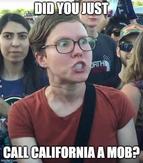 super_triggered | DID YOU JUST CALL CALIFORNIA A MOB? | image tagged in super_triggered | made w/ Imgflip meme maker
