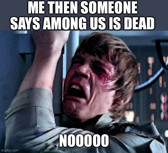 No no that’s impossible | ME THEN SOMEONE SAYS AMONG US IS DEAD; NOOOOO | image tagged in nooo,among us,dead | made w/ Imgflip meme maker