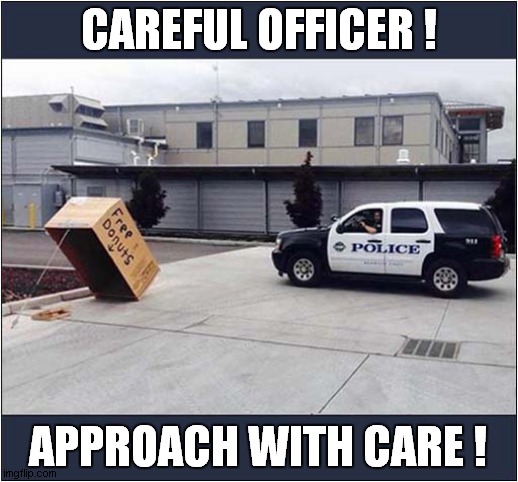 It's A Trap ! | CAREFUL OFFICER ! APPROACH WITH CARE ! | image tagged in police,donuts,it's a trap,front page | made w/ Imgflip meme maker