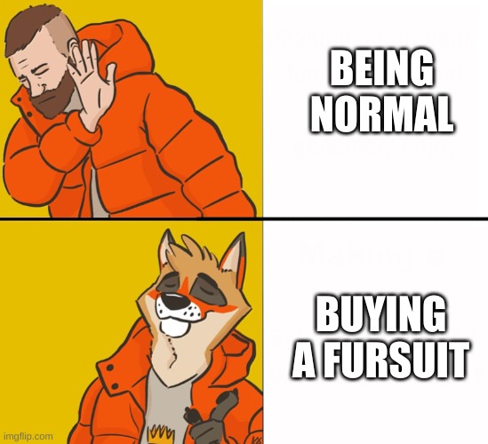 I'm getting one soon | BEING NORMAL; BUYING A FURSUIT | image tagged in furry drake | made w/ Imgflip meme maker
