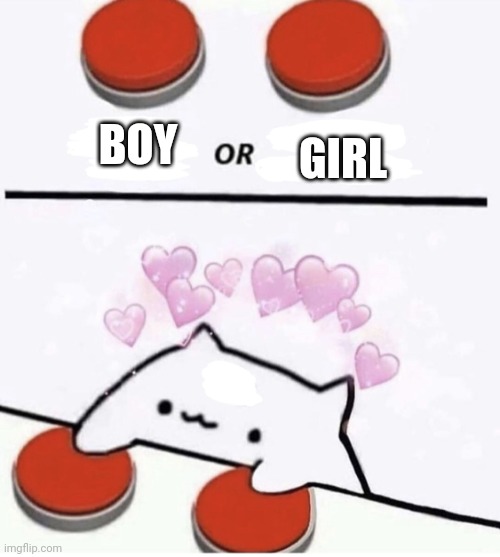 Cat pressing two buttons | BOY GIRL | image tagged in cat pressing two buttons | made w/ Imgflip meme maker