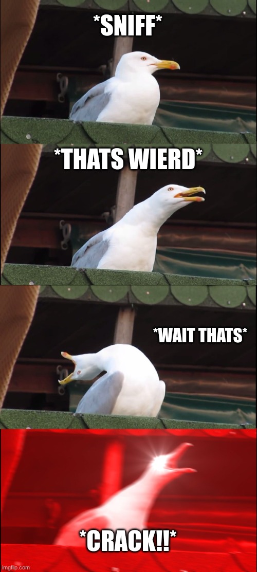 Inhaling Seagull | *SNIFF*; *THATS WIERD*; *WAIT THATS*; *CRACK!!* | image tagged in memes,inhaling seagull | made w/ Imgflip meme maker