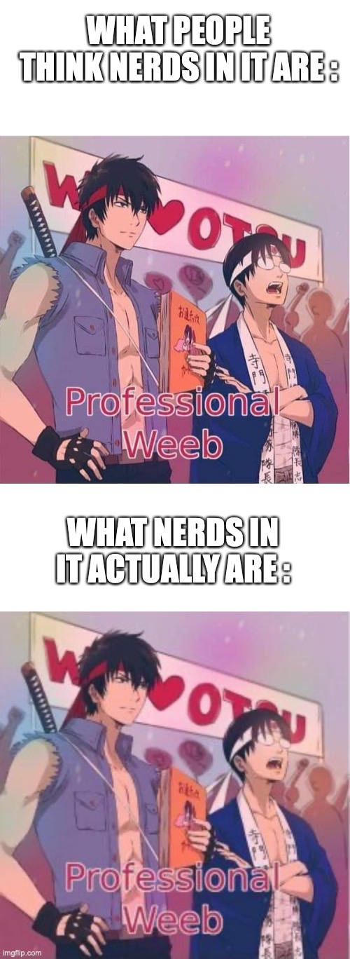 Nerds | WHAT PEOPLE THINK NERDS IN IT ARE :; WHAT NERDS IN IT ACTUALLY ARE : | image tagged in blank white template,gintama professional weeb | made w/ Imgflip meme maker