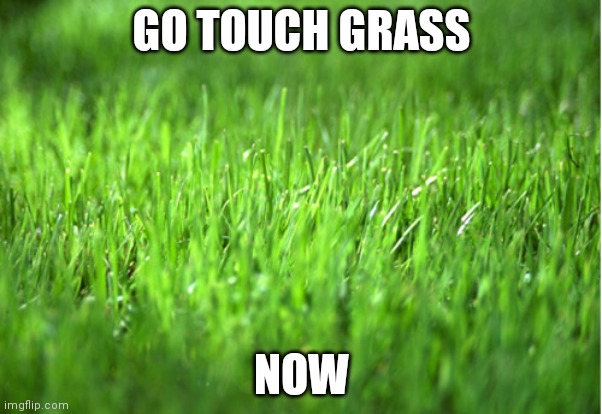 Go touch grass NOW | GO TOUCH GRASS; NOW | image tagged in grass is greener | made w/ Imgflip meme maker