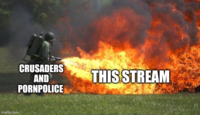 Delete this! | THIS STREAM; CRUSADERS
AND
PORNPOLICE | image tagged in flamethrower | made w/ Imgflip meme maker