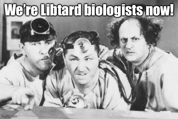 Doctor Stooges | We’re Libtard biologists now! | image tagged in doctor stooges | made w/ Imgflip meme maker