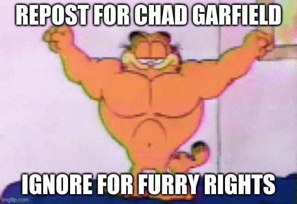 REPOST FOR CHAD GARFIELD; IGNORE FOR FURRY RIGHTS | made w/ Imgflip meme maker