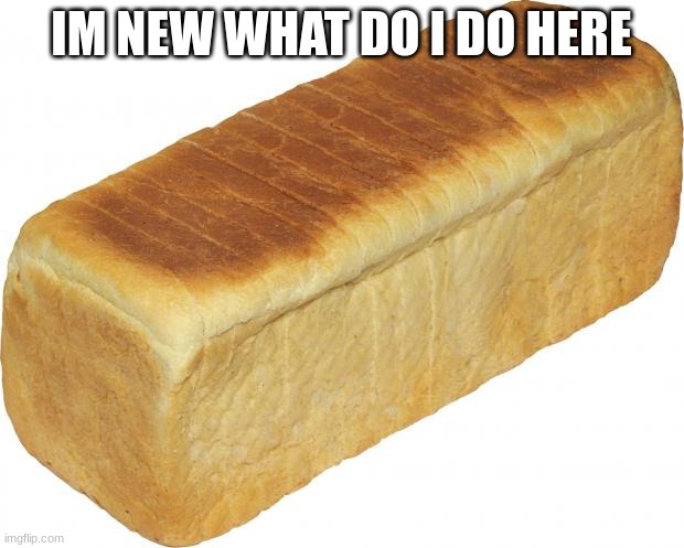 im a breadable lol | IM NEW WHAT DO I DO HERE | image tagged in breadddd | made w/ Imgflip meme maker