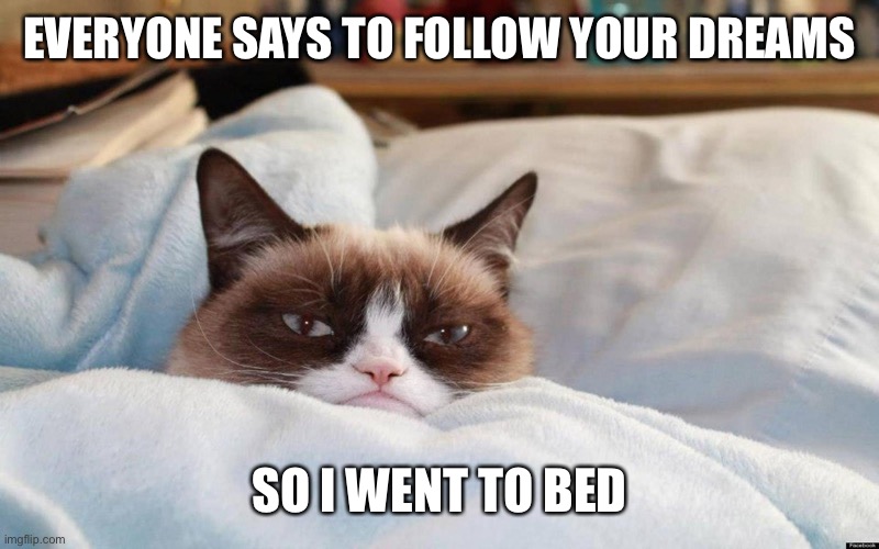 Done it | EVERYONE SAYS TO FOLLOW YOUR DREAMS; SO I WENT TO BED | image tagged in grumpy cat bed,funny,memes,follow your dreams | made w/ Imgflip meme maker