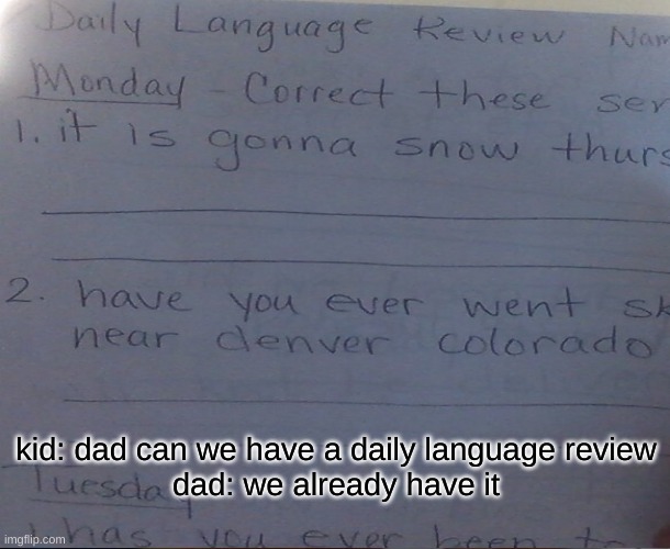 kid: dad can we have a daily language review
dad: we already have it | image tagged in dad joke | made w/ Imgflip meme maker