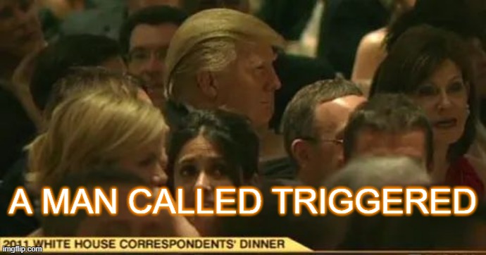 A MAN CALLED TRIGGERED | made w/ Imgflip meme maker