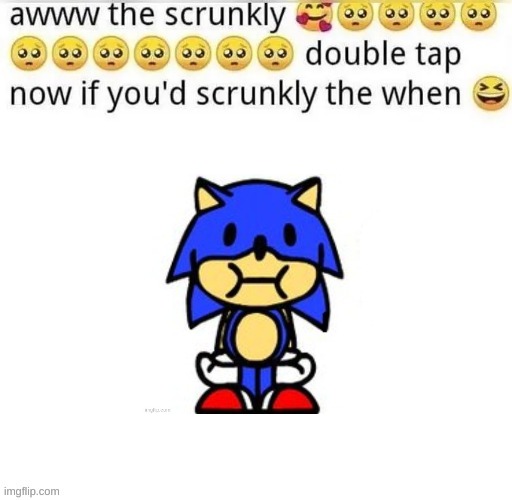 awww the skrunkly by tc | image tagged in awww the skrunkly | made w/ Imgflip meme maker