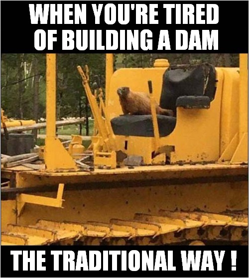 One Mechanized Beaver ! | WHEN YOU'RE TIRED
 OF BUILDING A DAM; THE TRADITIONAL WAY ! | image tagged in mechanized,beaver,dams | made w/ Imgflip meme maker