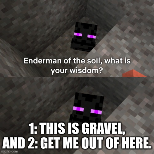 help him | 1: THIS IS GRAVEL, AND 2: GET ME OUT OF HERE. | image tagged in enderman of the soil | made w/ Imgflip meme maker