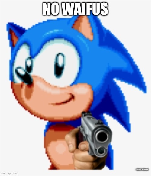 Sonic gun pointed | NO WAIFUS I HAVE A PROBLEM | image tagged in sonic gun pointed | made w/ Imgflip meme maker