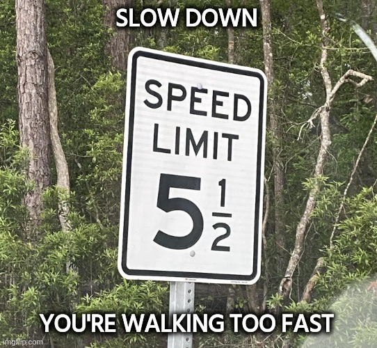 Speed kills | SLOW DOWN; YOU'RE WALKING TOO FAST | image tagged in relax,slowpoke,i am speed,well yes but actually no | made w/ Imgflip meme maker