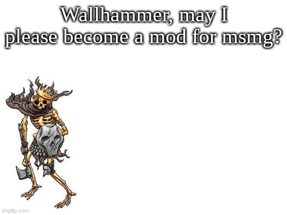 Blank White Template | Wallhammer, may I please become a mod for msmg? | image tagged in blank white template | made w/ Imgflip meme maker