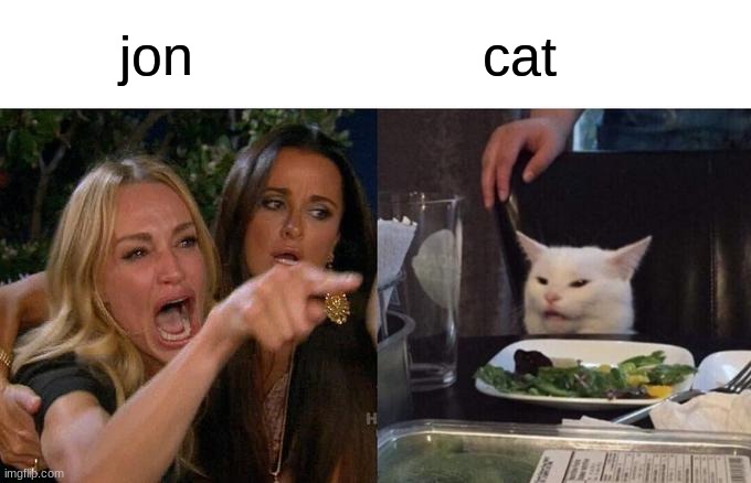 Woman Yelling At Cat | jon; cat | image tagged in memes,woman yelling at cat | made w/ Imgflip meme maker