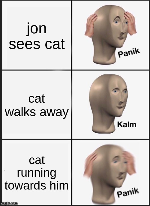 Panik Kalm Panik | jon sees cat; cat walks away; cat running towards him | image tagged in memes,panik kalm panik | made w/ Imgflip meme maker