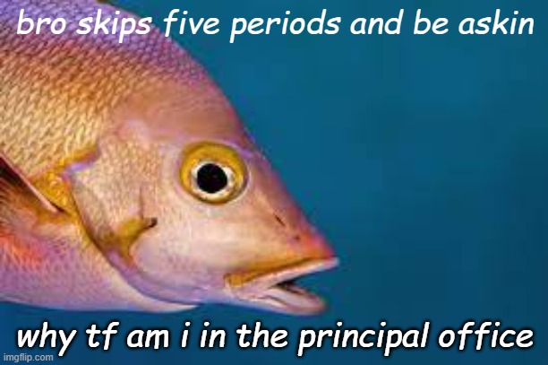 confished | bro skips five periods and be askin; why tf am i in the principal office | image tagged in confused,fish,meme | made w/ Imgflip meme maker