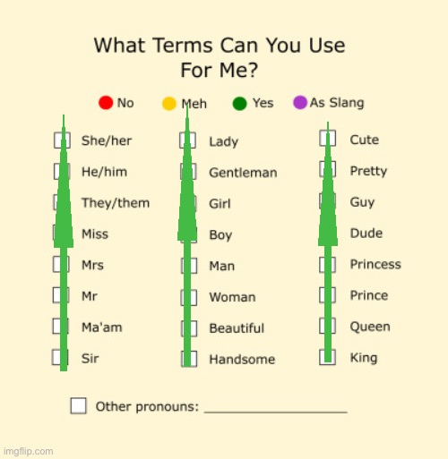 Go ahead | image tagged in pronouns sheet | made w/ Imgflip meme maker