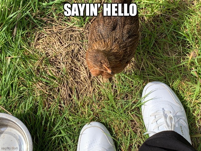 C h i m k i n s | SAYIN’ HELLO | made w/ Imgflip meme maker