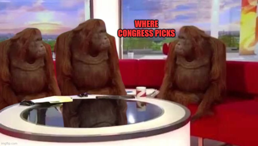 where monkey | WHERE CONGRESS PICKS | image tagged in where monkey | made w/ Imgflip meme maker