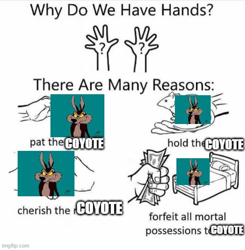 i love wile e coyote | COYOTE; COYOTE; COYOTE; COYOTE | image tagged in why do we have hands | made w/ Imgflip meme maker