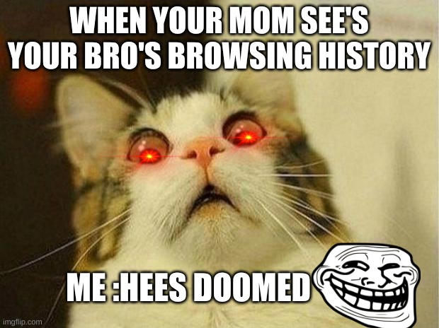 Scared Cat | WHEN YOUR MOM SEE'S YOUR BRO'S BROWSING HISTORY; ME :HEES DOOMED | image tagged in memes,scared cat | made w/ Imgflip meme maker