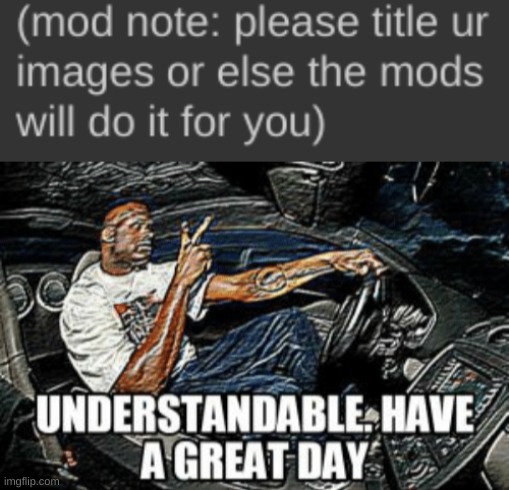 understandable have a great day | image tagged in understandable have a great day | made w/ Imgflip meme maker