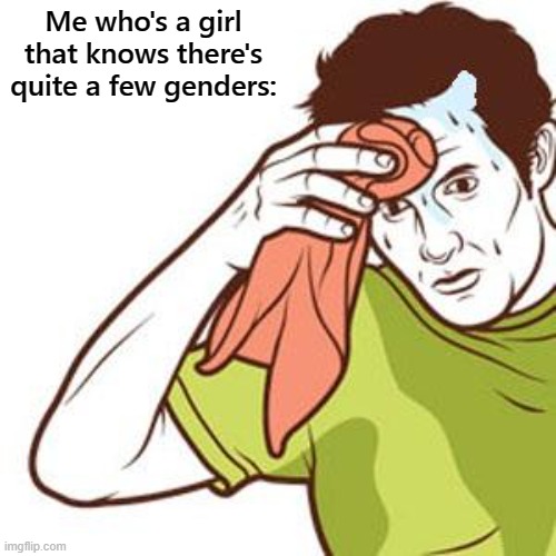 Sweating Towel Guy | Me who's a girl that knows there's quite a few genders: | image tagged in sweating towel guy | made w/ Imgflip meme maker