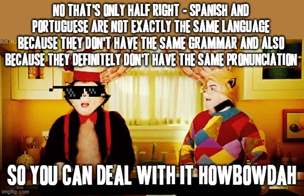 Yea there's where you're wrong |  NO THAT'S ONLY HALF RIGHT - SPANISH AND PORTUGUESE ARE NOT EXACTLY THE SAME LANGUAGE BECAUSE THEY DON'T HAVE THE SAME GRAMMAR AND ALSO BECAUSE THEY DEFINITELY DON'T HAVE THE SAME PRONUNCIATION; SO YOU CAN DEAL WITH IT HOWBOWDAH | image tagged in you're not just wrong you're stupid,memes,how bow dah,spanish,portuguese,savage memes | made w/ Imgflip meme maker
