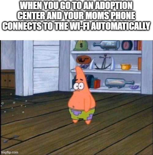 ... | WHEN YOU GO TO AN ADOPTION CENTER AND YOUR MOMS PHONE CONNECTS TO THE WI-FI AUTOMATICALLY | image tagged in adoption,adopted,tags,oh wow are you actually reading these tags,too many tags,ha ha tags go brr | made w/ Imgflip meme maker