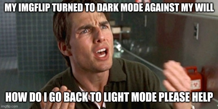 help me help you | MY IMGFLIP TURNED TO DARK MODE AGAINST MY WILL HOW DO I GO BACK TO LIGHT MODE PLEASE HELP | image tagged in help me help you | made w/ Imgflip meme maker