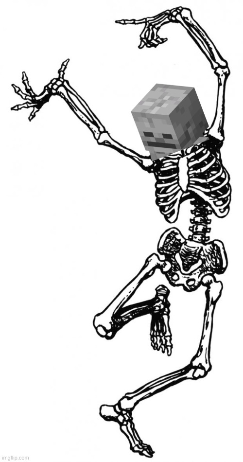 Spooky Scary Skeleton | image tagged in spooky scary skeleton | made w/ Imgflip meme maker