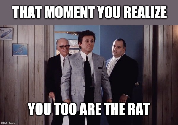 THAT MOMENT YOU REALIZE YOU TOO ARE THE RAT | made w/ Imgflip meme maker