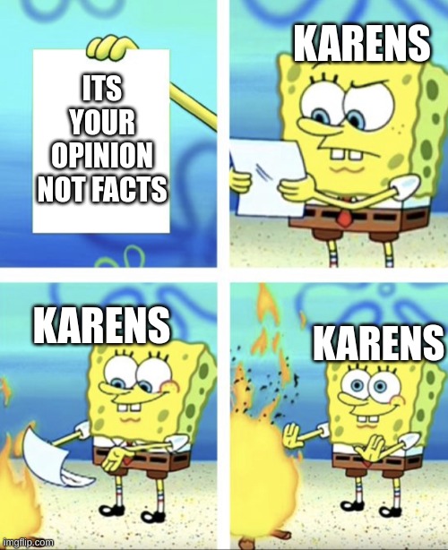 spongebob trowing paper away | KARENS; ITS YOUR OPINION NOT FACTS; KARENS; KARENS | image tagged in spongebob trowing paper away | made w/ Imgflip meme maker