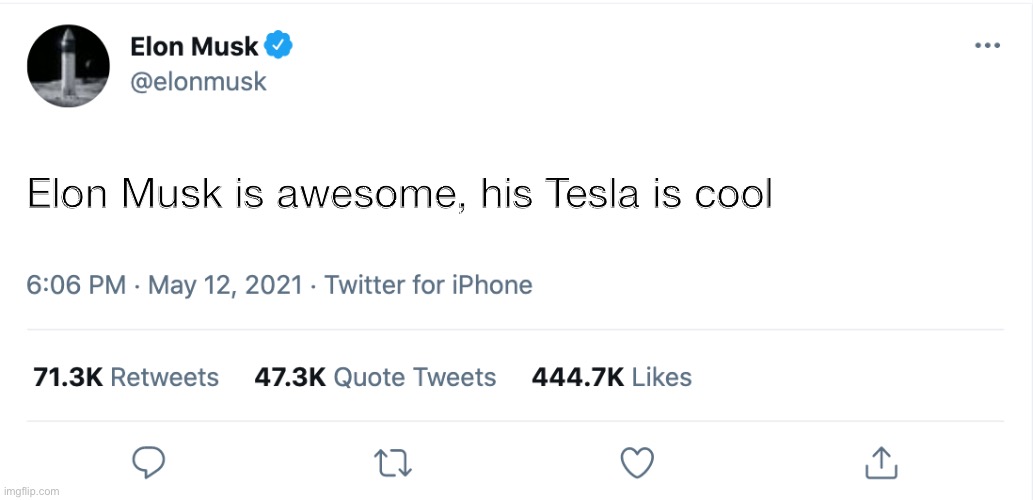 Elon Musk Blank Tweet | Elon Musk is awesome, his Tesla is cool | image tagged in elon musk blank tweet | made w/ Imgflip meme maker