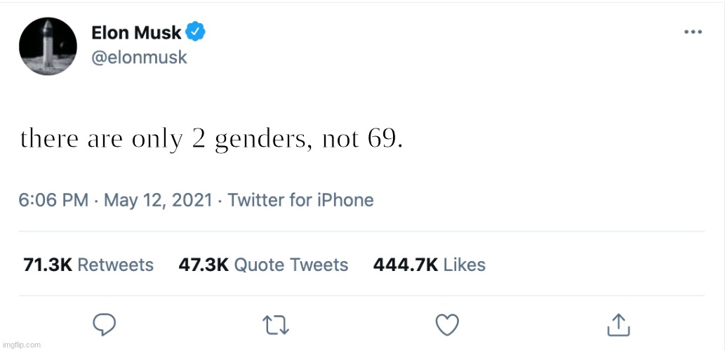 elon-chan spittin' facts | there are only 2 genders, not 69. | image tagged in elon musk blank tweet | made w/ Imgflip meme maker