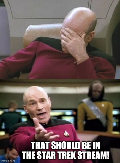 Picard Facepalm WTF Combo | THAT SHOULD BE IN THE STAR TREK STREAM! | image tagged in picard facepalm wtf combo | made w/ Imgflip meme maker